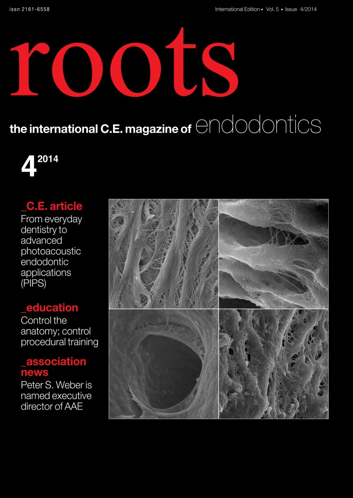 Roots_14_04_cover