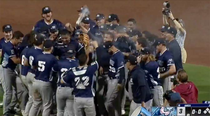 Minor League Baseball Championship Teams